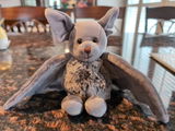 Dorrie review photo