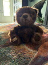 HLLE review photo