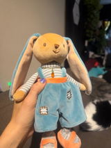 Marz Wolfe review photo