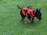 Kerstin review photo