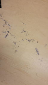 Anonymous review photo