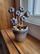 Andrew L Brolin review photo