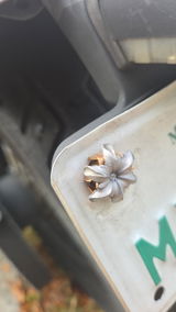 Mech Mohawk review photo