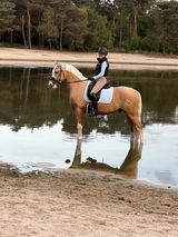 Cristel Bulters review photo