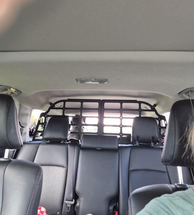 Syanne's 5th Gen Toyota 4Runner with a BPF pet barrier installed behind the rear seats