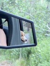 Tahoe Adventure Trex review photo