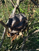 Hank Gibson review photo