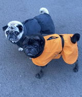 Paikka reflektierender Hunderegenmantel Orange