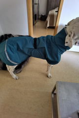 Hundepullover Goldpaw Stretch Fleece Grau