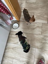 Hundepullover Goldpaw Stretch Fleece Camouflage