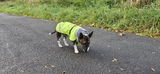 Hunde Regenmantel Kevyt Pomppa Lime