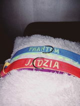lidia review photo