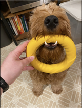 Power Duo - Tug Ring and Fetch Ball (Dog Toy Set)
