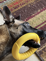 Power Duo - Tug Ring and Fetch Ball (Dog Toy Set)