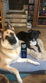 Bacon and Junior review photo