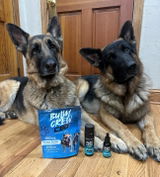 Kim Dempsey review photo