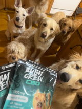 Liza and her dogs review photo