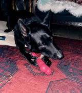 Richard L. review photo