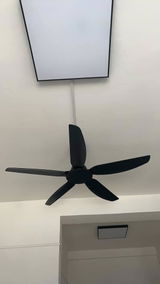 Kota review photo