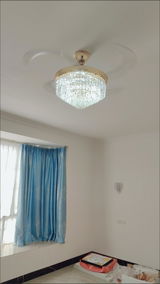 Wilhemina Sasu review photo