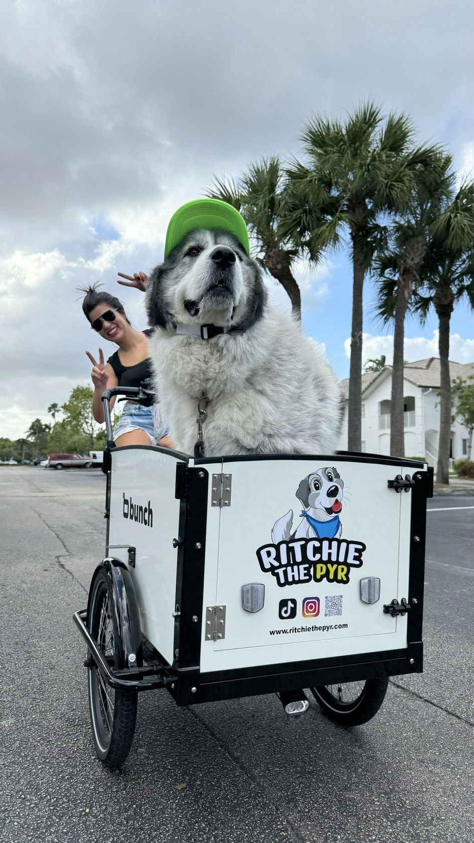 The K9 - Electric Cargo Bike for Dogs