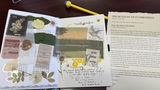 Michele Nelson review photo