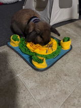 Milo’s mom review photo