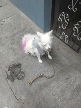 Anonymous review photo