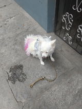 Anonymous review photo