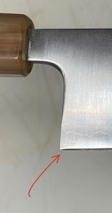 Brandt review photo