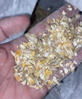 Julio Garcia review photo