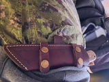 Brodie Corwin review photo