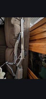 S.B. review photo