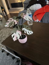 Haley Connors review photo