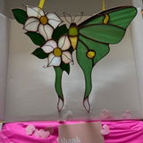 Catnh review photo