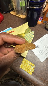 James Johnson Jr review photo