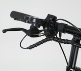 David W. review photo
