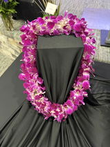 Suzan Cushman review photo