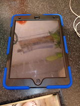 Jamie Colban review photo