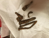 Gators review photo