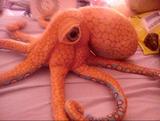 Marlena review photo