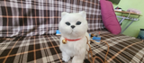 Cherie A. review photo