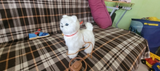Cherie A. review photo