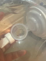 Kristine V. review photo
