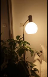 Marius S. review photo