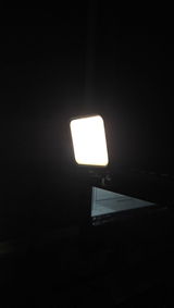 Tanya Srivastav review photo