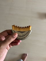 Ishita Sinha review photo