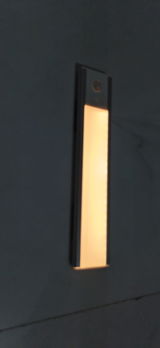 Vivek Goyal review photo