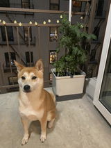 Barb review photo