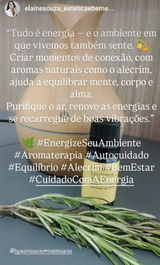 Elaine Aparecida Bento de Souza review photo